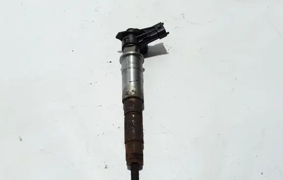 Renault Latitude (L70) Fuel injector 7701478969
