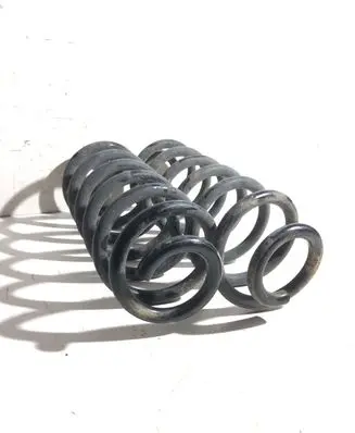 Volkswagen PASSAT B6 Rear coil spring