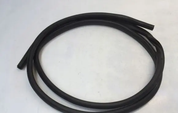 Nissan Juke II F16 Rubber seal front door (on door) 