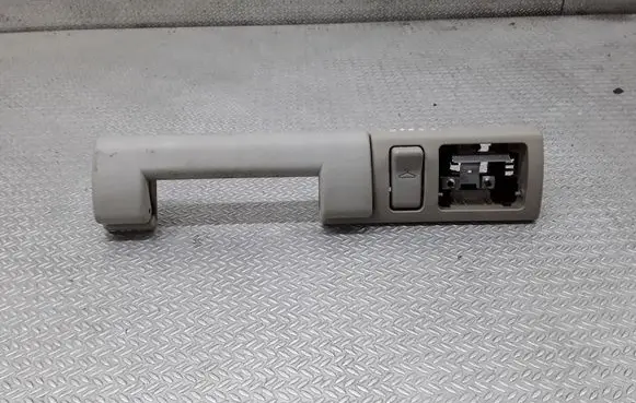Chrysler Pacifica Rear interior roof grab handle