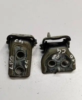 Citroen C4 II Front door hinge set 69698527810