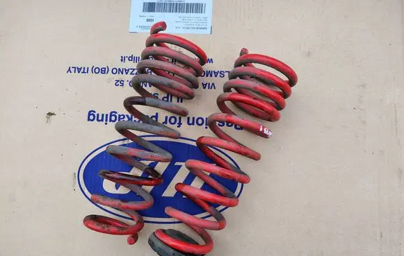 Rear coil spring