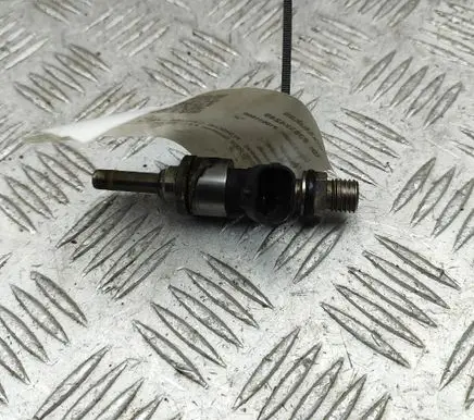 Porsche Cayenne (9PA) Fuel injector 94860523101 103507503