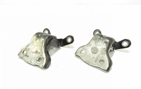 Chevrolet Captiva Rear door hinge set kodo