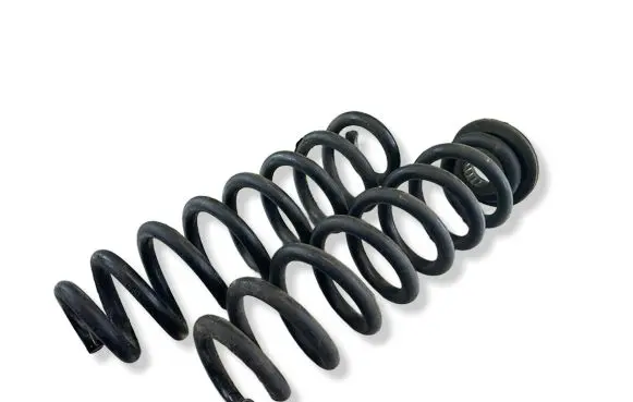 Opel Insignia B Rear coil spring