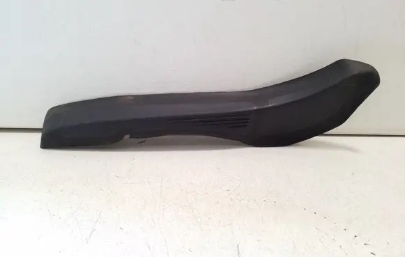 Rear/tail light trim molding