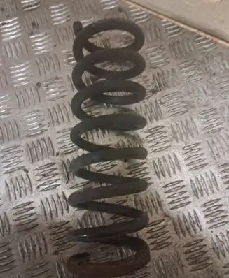 Rear coil spring