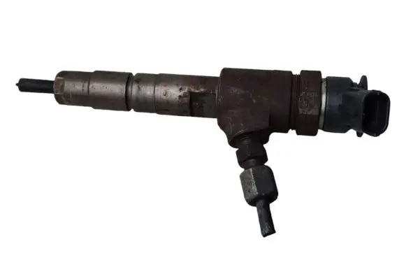 Renault Kangoo II Fuel injector 0445110489 CV6Q9F593AA