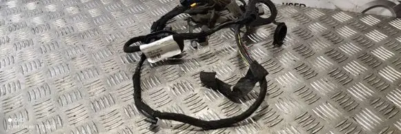 Rear door wiring loom