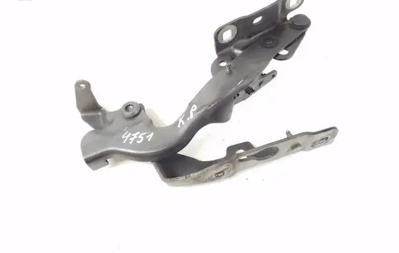 Infiniti Q30 Engine bonnet/hood hinges 654015DA0B