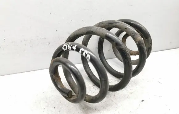Volkswagen PASSAT B5.5 Rear coil spring