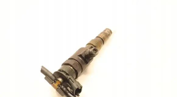 Peugeot Partner Fuel injector 0445110566