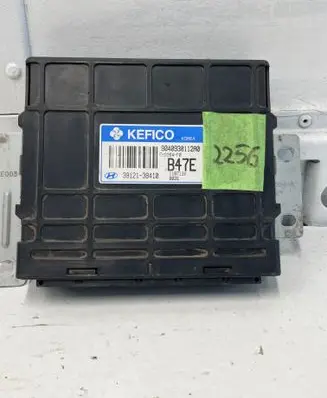 Hyundai Santa Fe Engine control unit/module 3912138410