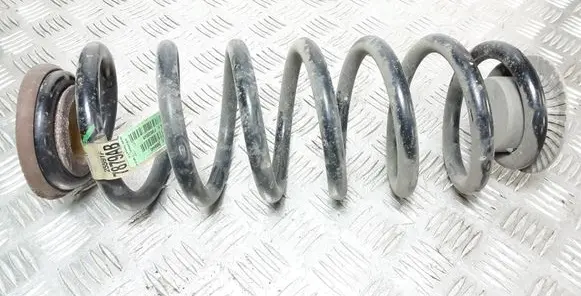 Jeep Cherokee Rear coil spring 7879AB