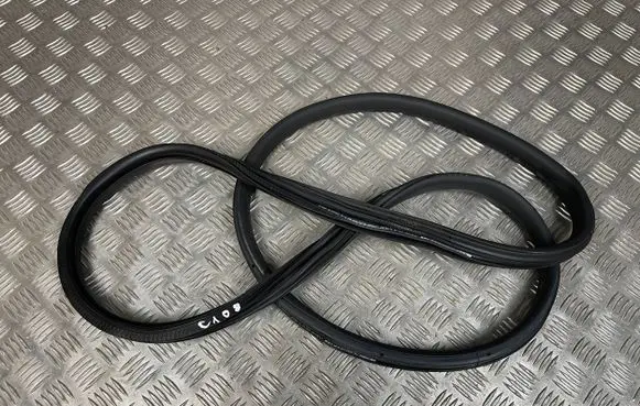 Citroen C3 Rubber seal rear door 9813059680