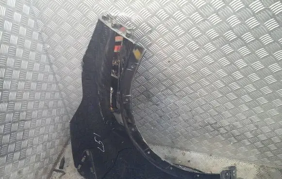 Renault Captur Fender