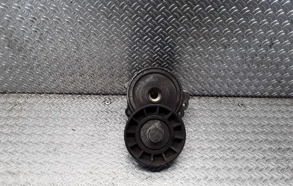 Peugeot 607 Generator/alternator belt tensioner