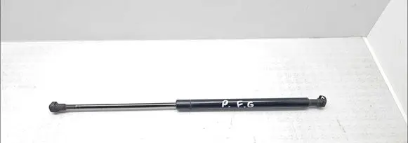 Front bonnet/hood damper/strut