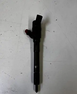 KIA Carens II Fuel injector 0445110258 3380027400