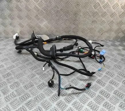 Tesla Model Y Front door wiring loom 148905200E