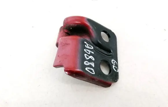 Rear door lower hinge