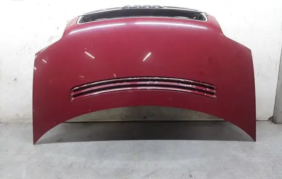 Engine bonnet/hood