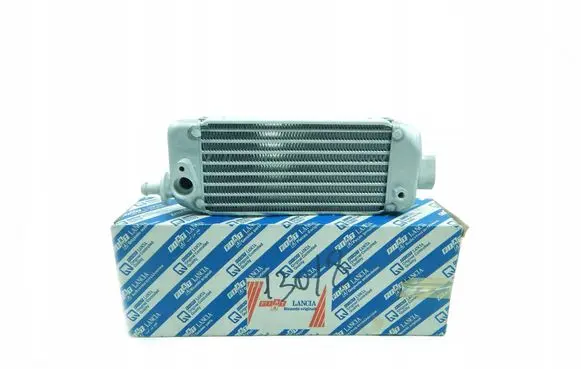 Fiat Punto (176) Engine oil radiator 7777881