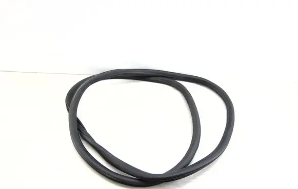 Opel Insignia B Front door rubber seal 