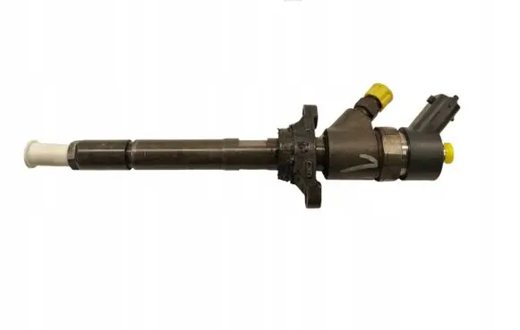 Peugeot Partner Fuel injector 0445110259
