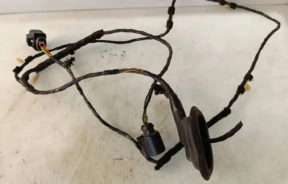 Other wiring loom