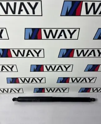 BMW X3 G01 Tailgate strut 7427492