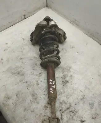 Audi A4 S4 B7 8E 8H Front shock absorber with coil spring