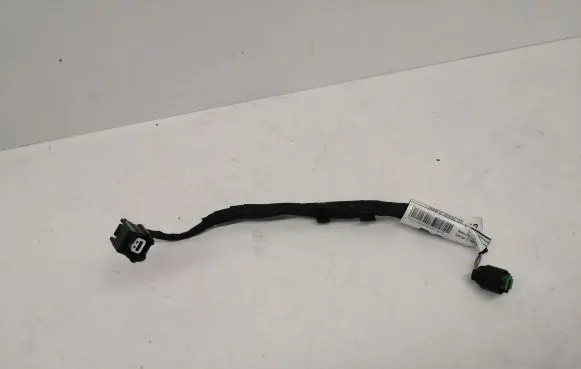 Jaguar I-Pace Other wiring loom M9D310C652BC