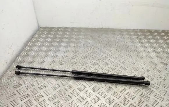 Ford Edge II Tailgate/trunk strut/damper FT4BR16C826AC FT4BR16C827AC