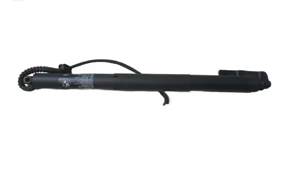 BMW X5 F15 Tailgate strut 7294470