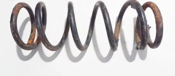 Rear coil spring