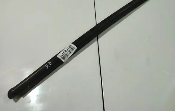 Rear door glass trim molding