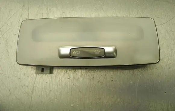 Renault Laguna III Other interior light 264300005R I7491