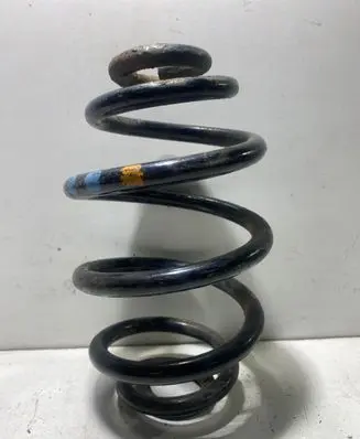 Volkswagen PASSAT B5.5 Rear coil spring