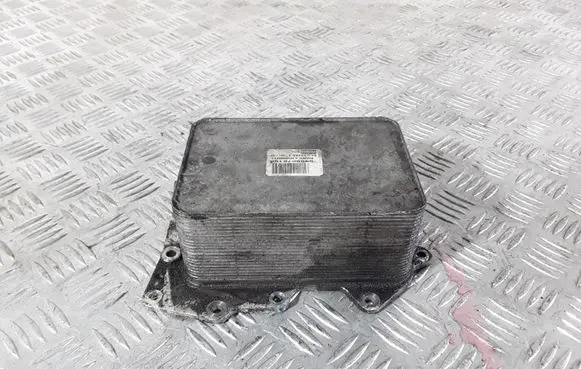 Land Rover Range Rover L322 Oil filter mounting bracket 5989070106