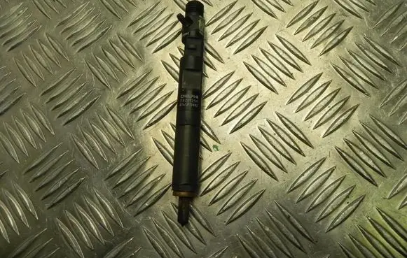 Nissan NV200 Fuel injector H8200827965