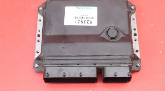 Engine control unit/module ECU
