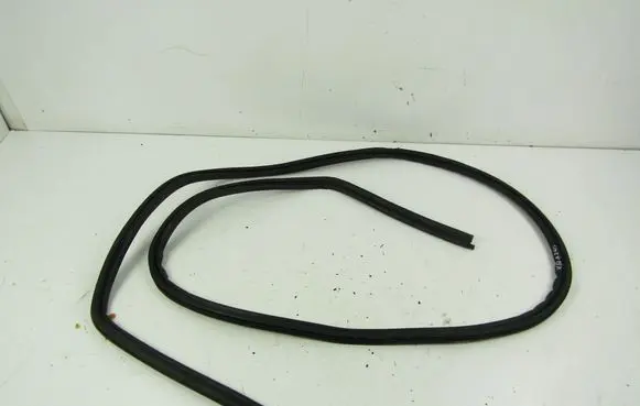 Renault Scenic I Trunk rubber seal (body) 