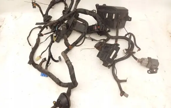 Hyundai ix35 Fuse module