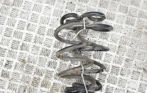 Nissan Qashqai Rear coil spring