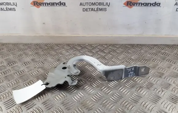 Renault Zoe Engine bonnet/hood hinges 554018609R