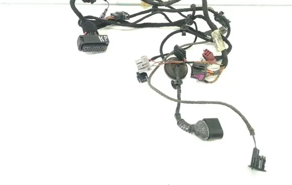 Volkswagen PASSAT B5.5 Front door wiring loom 3B0971120BD