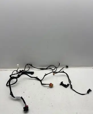 Volkswagen Golf VIII Other wiring loom 5H1971641T TAB016940K