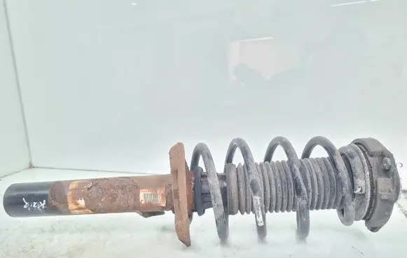 Volkswagen Tiguan Front shock absorber with coil spring