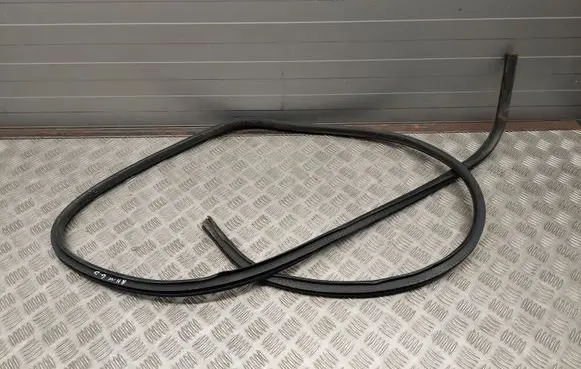 Dodge RAM Rubber seal rear door 